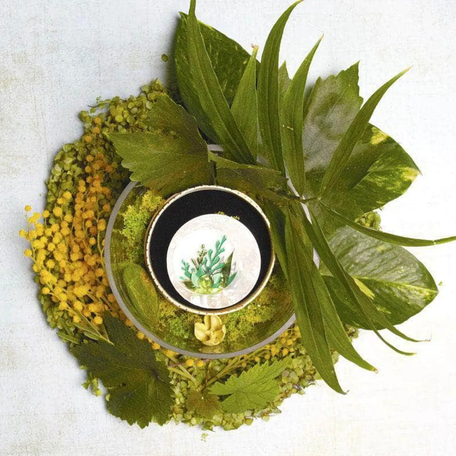 Botanical Abode Brooch^Erstwilder