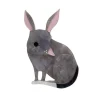 Bouncy Burrow Dweller Bilby Brooch^Erstwilder Discount