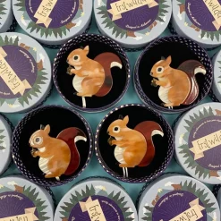 Bright-Eyed And Bushy Tailed Brooch^Erstwilder Clearance