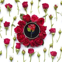 Budding Romance Rose Brooch^Erstwilder Discount