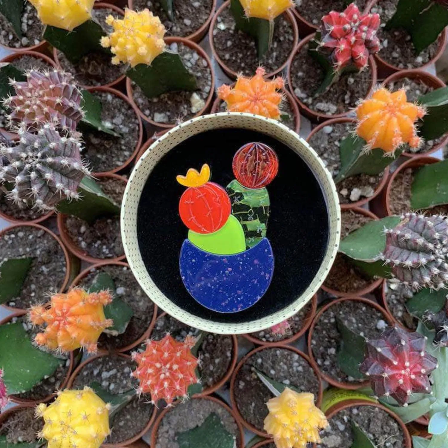 Cactus Jack Brooch^Erstwilder Discount