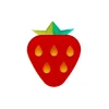 Fruit Salad Strawberry Brooch^Erstwilder
