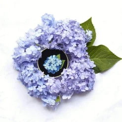 Heartfelt Hydrangea Brooch^Erstwilder