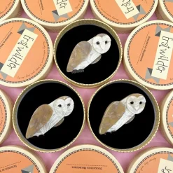 Miah Masked Owl Brooch^Erstwilder Outlet