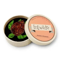 Michelle Sea Turtle Brooch^Erstwilder Best