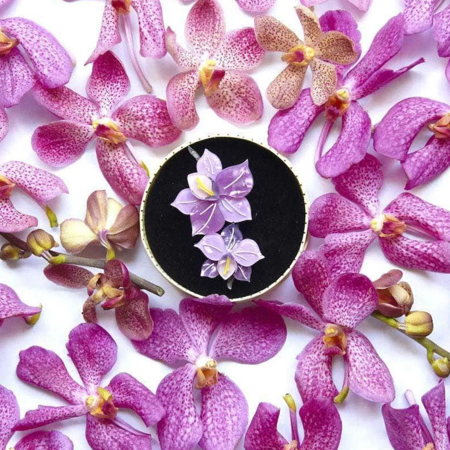 Opulent Orchidaceae Brooch^Erstwilder Clearance