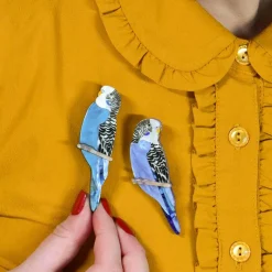 Pair O' Keets Brooch Set^Erstwilder New