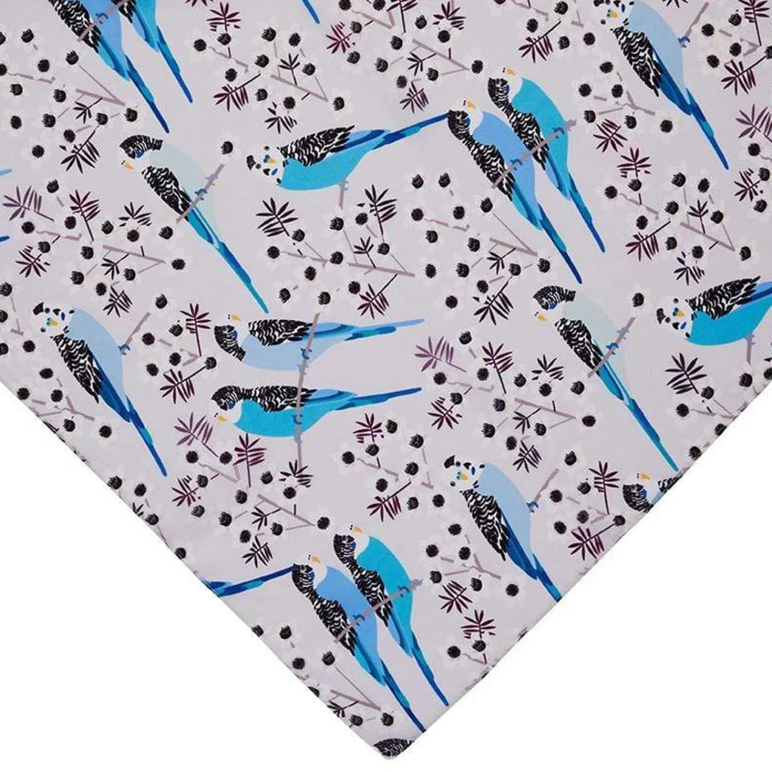 Pair O' Keets Large Neck Scarf^Erstwilder