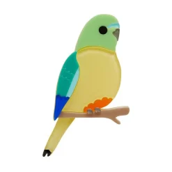 Radiant Rambler Parrot Brooch^Erstwilder Sale