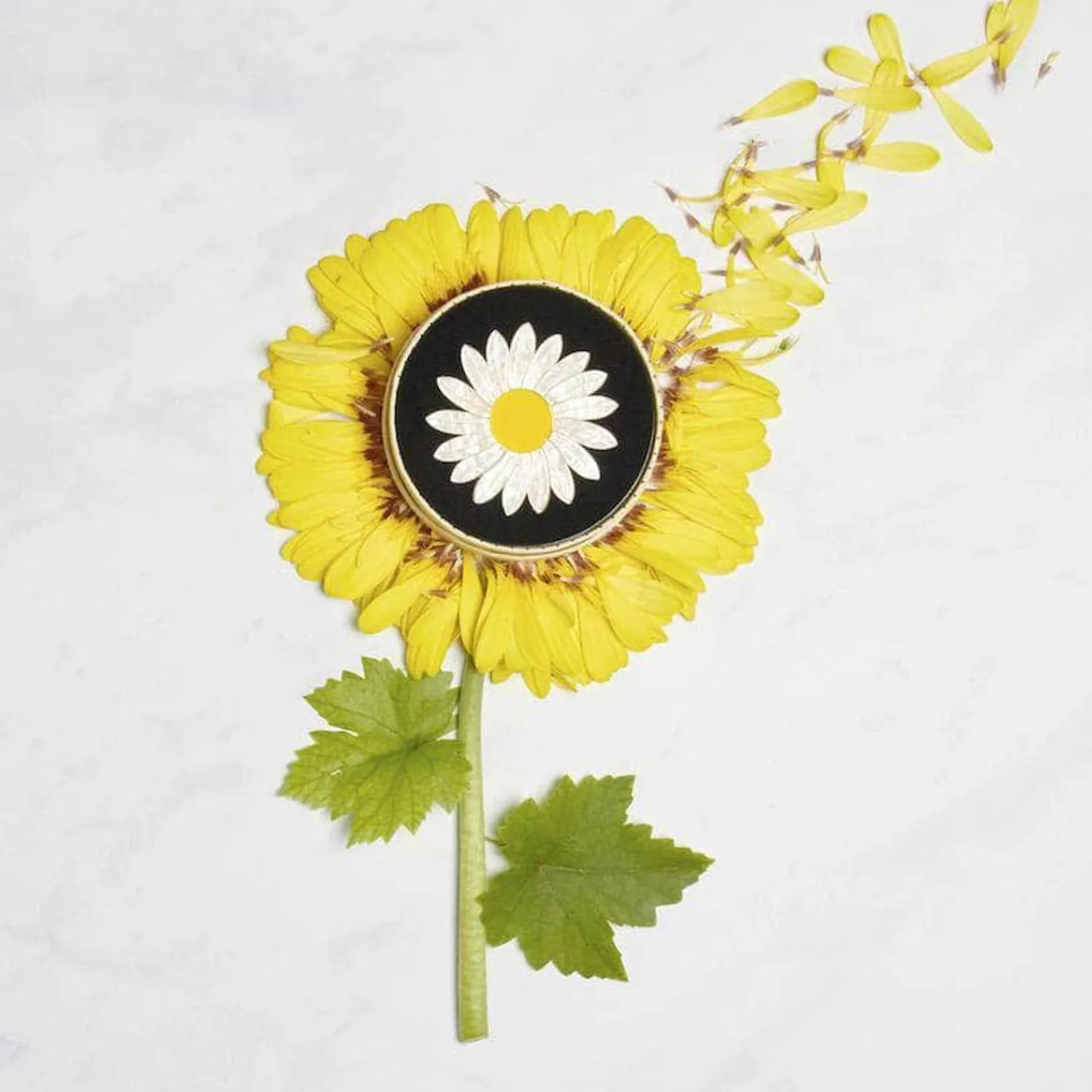 She Loves Me Daisy Brooch^Erstwilder New