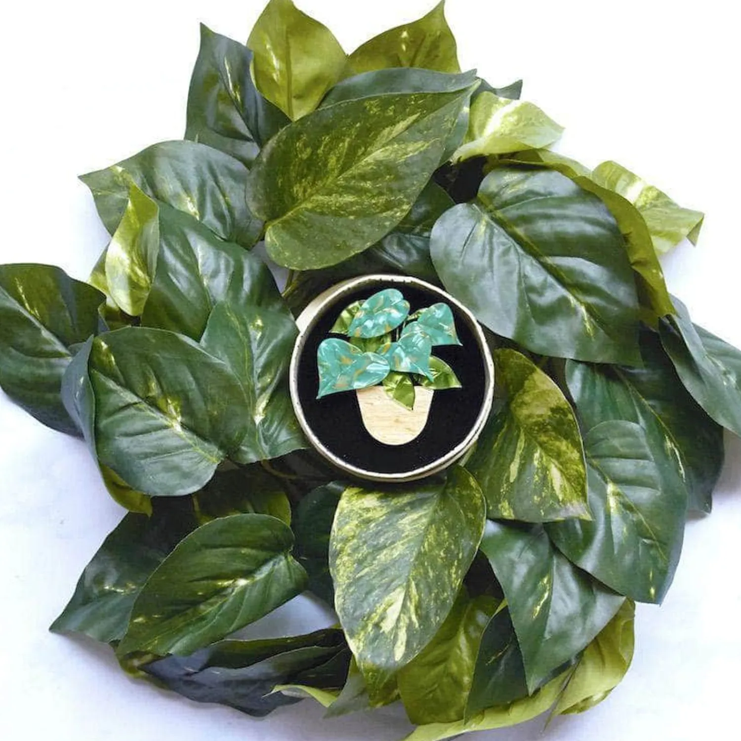 Show Me The Money Plant Brooch^Erstwilder