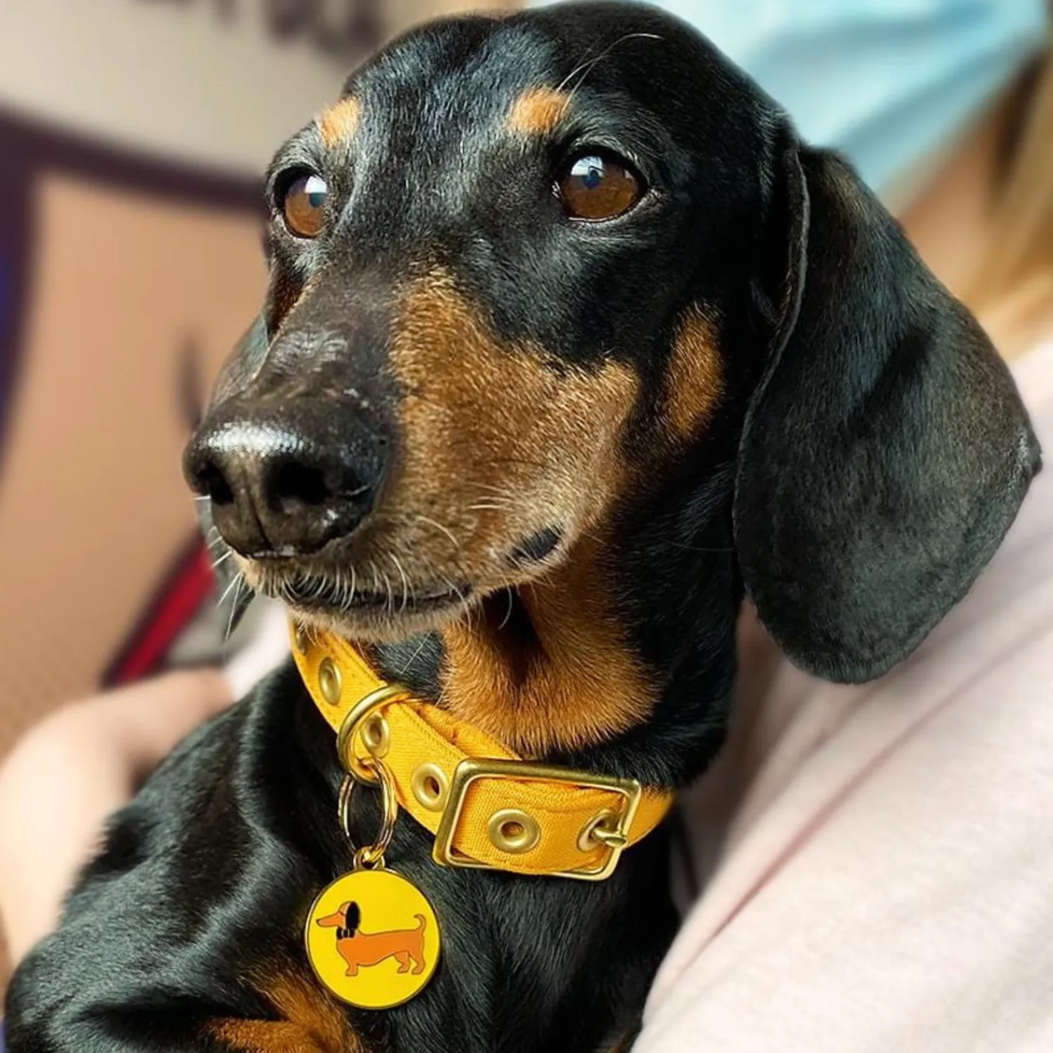 Spiffy The Sausage Dog Enamel Pet Charm^Erstwilder Online