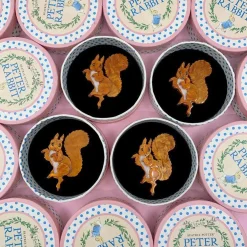 Squirrel Nutkin Brooch^Erstwilder Clearance