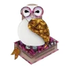 Studious Snow Owl Brooch^Erstwilder New