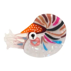 The Cryptic Chambered Nautilus Brooch^Erstwilder