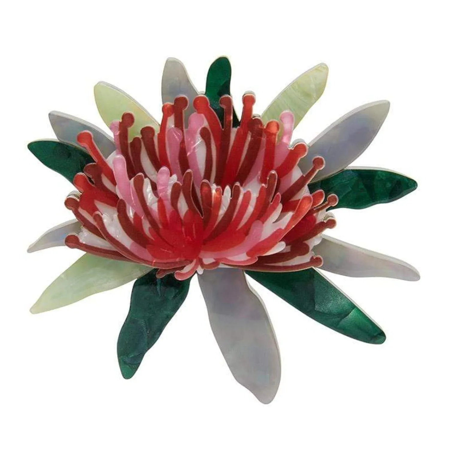 Waratah Warmth Brooch^Erstwilder Online