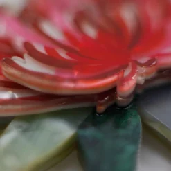 Waratah Warmth Brooch^Erstwilder Online
